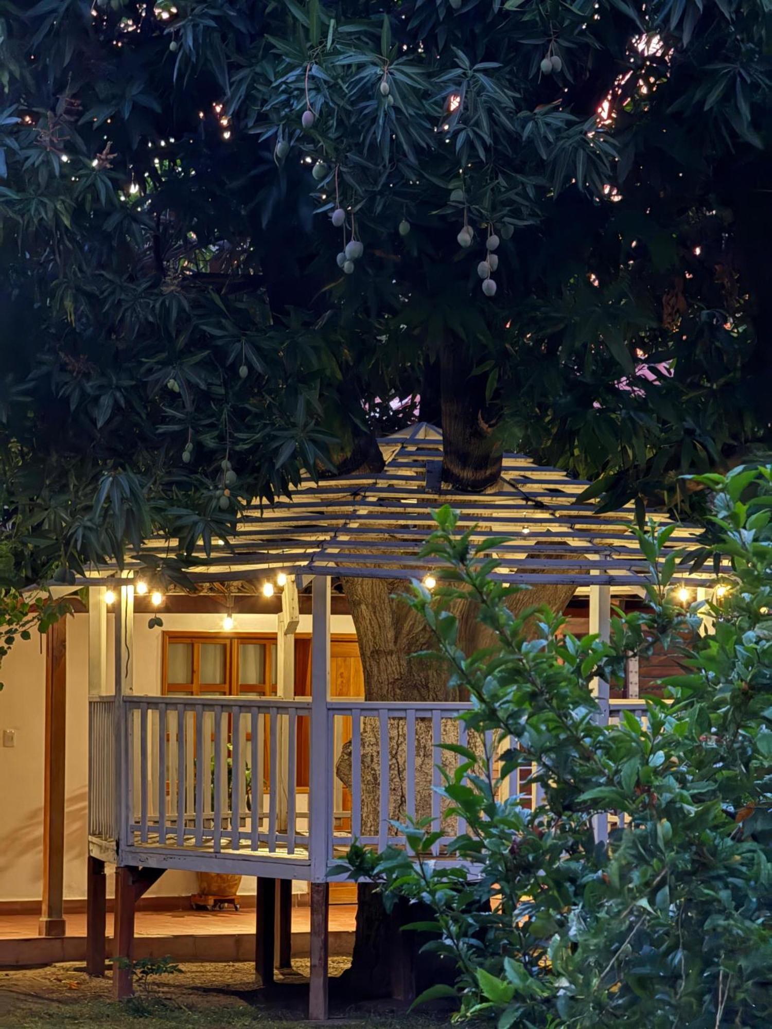 Hotel Jardin Boutique Rodadero سانتا مارتا المظهر الخارجي الصورة