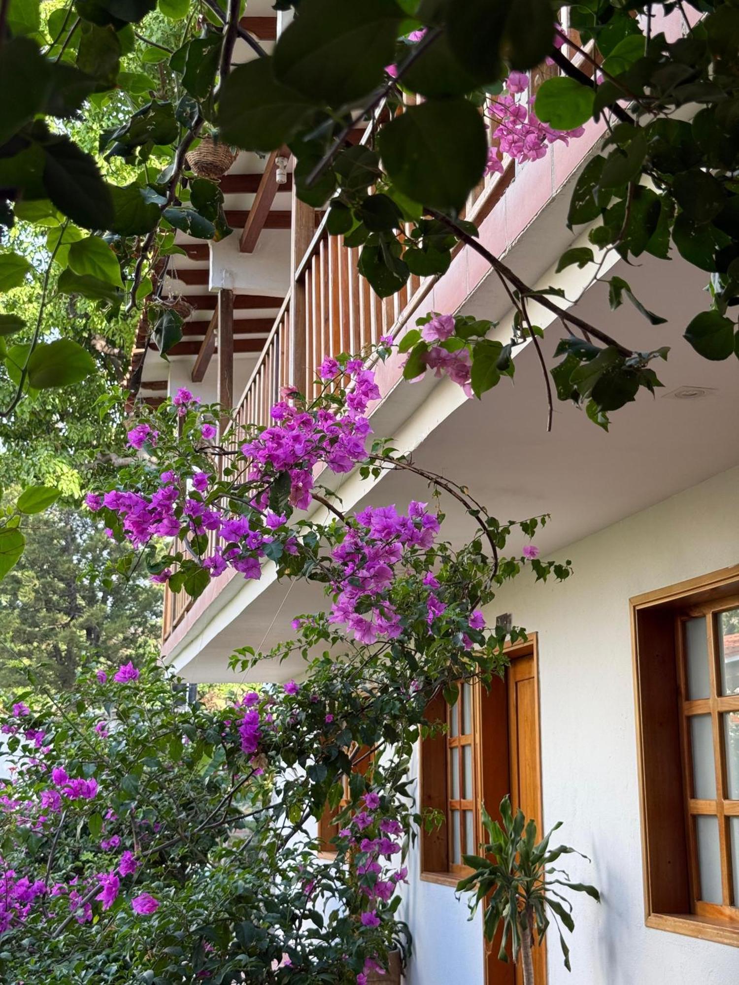 Hotel Jardin Boutique Rodadero سانتا مارتا المظهر الخارجي الصورة